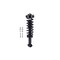 Fcs Struts Suspension Strut And Coil Spring Assembly 1355105 - alternate 4
