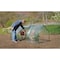 Miracle-Gro 3 x 8 x 3 ft Clear Mini Greenhouse 70525 - alternate 14