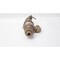 Danco BRONZE RELIEF VALVE 1/2IN 75-110PSI D50UU-06-3852 - alternate 5