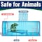 Campior Humane Mouse Trap, Large, No-Kill, Pet Safe, Easy Clean, No-Touch Release, Blue CMPMU7BLS1 - alternate 7