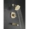 Delta Stryke 17 Series Tub and Shower Only Lumicoat Champagne Bronze T17476-CZ-PR - alternate 6