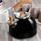 Mr. Coffee 2 Quart Stainless Steel Whistling Tea Kettle with Wood Pattern Handle in Black 82966.01 - alternate 7