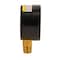 Water Source Pool Pressure Gauge, 1/4 in Connection, Steel Gauge Case, 100 psi M1002-4L - alternate 5