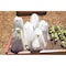 Grow It Now Poly Cone Plant Protectors, PK4 GINLarge - alternate 6