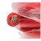 Deejay Led 0-Gauge 50 Foot Red Pure Copper Stranded Power Cable TBH050REDCOPPER - alternate 2
