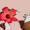Shea Moisture Coconut Hibiscus Hand and Body Scrub, 12 Ounce, 24PK 67596 - alternate 9
