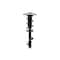 Fcs Struts Suspension Strut And Coil Spring Assembly 1334079L - alternate 1