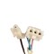 Frigidaire Wire Harness 242213501 - alternate 5
