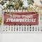 Signmission Farm Fresh Strawberries, 18 Inch x 48 Inch, Vinyl Banner B-30616 - alternate 5