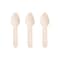 Smarty Had A Party 3" Natural Birch Eco-Friendly Disposable Mini Dessert Spoons (600 Spoons), 600PK 4664SP-CASE - alternate 10