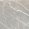 Apollo Tile Regalia 12x12 Ash Gray Porcelain Veining Wall and Floor Tile (13.56 sq ft/case), 14PK VEL88CEN1212A - alternate 1