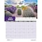 House Of Doolittle Monthly Wall Calendar, Succulent & Cacti, 12 Months, Jan-Dec, 11 in x 14 in 317 - alternate 4