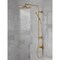 Delta Universal Showering Components Emerge 26" Round Shower Column 58820-CZ-PR - alternate 6