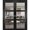 Sartodoors Sliding French Double Pocket Doors, Lucia 2555 Matte Black with Clear Glass, Kit Trims Rail Hardwa LUCIA2555DP-BLK-6484 - alternate 1