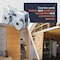 Newhouse Electric 1-5/8 in. Light-Duty Steel 4-Wheel Trolley Assembly for 1-5/8 in. Strut Channel 4WLDT-158 - alternate 6