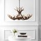 Jonathan Y Eldora 36" 8-Light Rustic Farmhouse Adjustable Resin Antler LED Chandelier, Brown JYL6319A - alternate 12