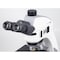 Motic Instruments Usa Panthera TEC-BD/DF/RL Trinocular Compound Upright Microscope with 6x4 Stage 1100104600221 - alternate 4