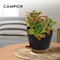 Campior Black Self Watering Pots, Indoor and Outdoor Plant Pots with Wick Rope and Drainage Holes, 5PK CAMPPLTBK5 - alternate 12