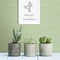 A-Street Prints Agave Green Imitation Grasscloth Wallpaper 2969-24284 - alternate 4