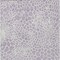 Homeroots 3' X 5' Lilac And Ivory Geometric Washable Indoor Outdoor Area Rug 595085 - alternate 9