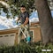 Makita Brushless 13" String Trimmer, 18V LXT XRU23Z - alternate 18