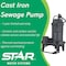 Star Water Systems 1/3 HP Submersible Sewage Pump 30TC - alternate 2