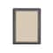 Ghent Ovation 1 Door Enclosed Fabric Bulletin Board, Gray Frame, 3'H x 2'W, Beige OVG1-F90 - alternate 1