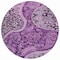 Homeroots 8' Purple And Charcoal Round Floral Medallion Washable Indoor Outdoor Area Rug 603193 - alternate 8