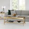 Homeroots 45" Clear Glass And Gold Steel Coffee Table With Shelf 520941 - alternate 8