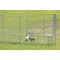 K9 Kennel Store 6ft X 8ft Basic Dog Kennel Pro Galvanized BPR6X8FK - alternate 4