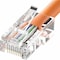 Unc Group 2Ft Orange Cat5E Patch Cable, Utp, No Boots PC5E-02F-ORG - alternate 2
