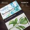 St Cuthberts Bockingford Watercolor Block, Cold Pressed, White, 140lb/300gsm, 12 Sheet, 12x16 inch T46930001011E - alternate 5
