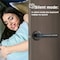 Wrightmaster Single Cylinder Smart Door Handle with Fingerprint, Anti-Peep Password, Emergency Charging Port ZR-SF047 - alternate 8