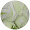 Homeroots 8' Round Green Round Abstract Washable Non Skid Indoor Outdoor Area Rug 559690 - alternate 9