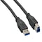 Sanoxy 3ft USB 3.0 A Male to B Male Cable, Black SNX-CBL-LDR-U3102-1103 - alternate 1