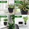 Campior Black Self Watering Pots, Indoor and Outdoor Plant Pots with Wick Rope and Drainage Holes, 5PK CAMPPLTBK5 - alternate 13