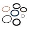 Cnh KIT SEALS, CNH OEM BN304837 BN304837 - alternate 4