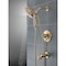Delta Saylor Monitor 17 Series Tub & Shower Trim with In2ition T17435-CZ-I - alternate 7