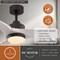 Vaxcel North Bend, 52 in, Bronze Indoor/Outdoor Ceiling Fan, Ash Blades, LED, Remote, DC F0139 - alternate 9