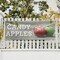 Signmission Candy Apples, 24 Inch x 72 Inch, Vinyl Banner B-72-30501 - alternate 5