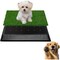 Watson & Whitely FluffyDream Artificial Dog Grass Pad with Tray, 16inx20in Dogs Potty Tray with Washable Puppy Grass GLOWPTPADXGRASS1620 - alternate 1