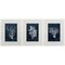 Homeroots 21" X 27" White Frame Wood Coral Blue, Set Of 3, 3PK 365730 - alternate 1