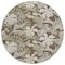 Homeroots 8' Brown Beige And Olive Green Round Botanical Leaves Washable Indoor Outdoor Area Rug 618396 - alternate 8