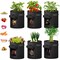 Ipower Potato Grow Bags with Flap 7 Gallon, Garden Planting Pot with Durable Handle, 6PK GLGROWBAGWINDOW7X6 - alternate 1