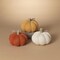 Gerson 7 in. Harvest Pumpkins Fall Decor 2686150 - alternate 3