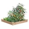 Greenes 5.5 in. H X 48 in. W Cedar Raised Bed Planter Brown RC4S4B - alternate 1