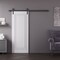 Sartodoors Barn Door 30x84 inches White Solid Core Modern Interior ROYAL9811BD-B-EMAL-3084 - alternate 1