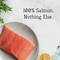Stewart 2.75 Oz. Pouch Wild Salmon Dog Treat 400963 - alternate 6