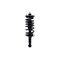 Fcs Struts Suspension Strut And Coil Spring Assembly 1345962 - alternate 1