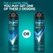 Degree Men Motionsense Cool Rush Anti Perspirant Dry Spray, 3.8 Ounce Aerosol, 12PK 84134 - alternate 8